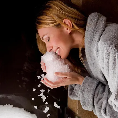 호텔 그랜드 데스 바인스 리치오네